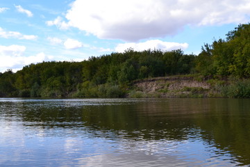 Obraz premium river and forest