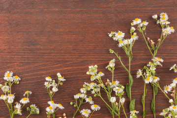 Obraz premium Beautiful wild flowers on wooden background. Frame of flowers.