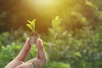 close-up hand of person holding coin with soil and young plant on the top in soft nature background.