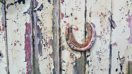Horseshoe on old door
