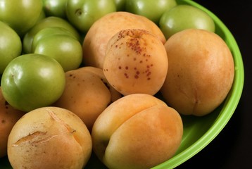 Apricots and sour cherry-plums on a green plastic table