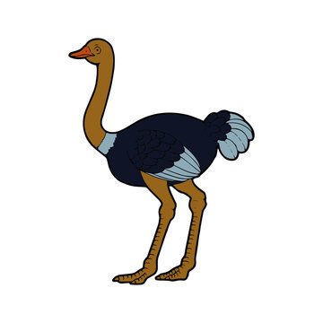 recommend clip art: Ostrich cartoon illustration isolated on white background for children color book