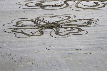 dessin fleur sur le sable