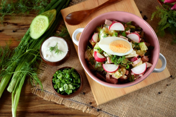 Ingredients for preparing the cold soup okroshka. Russian cuisine traditional meal