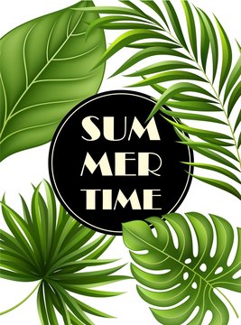 Summer background with jungle plants