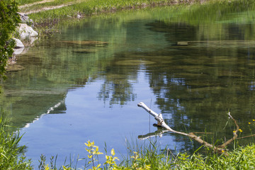 Country Pond