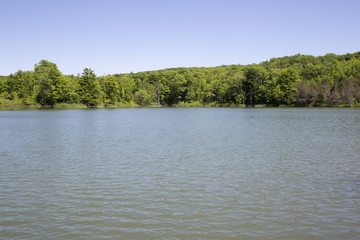 Landscape View of a Country Pond