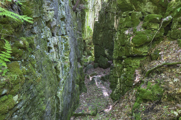 Exploring the Crevices