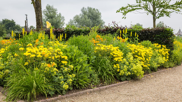 Colorful yellow flowerbed with different kind of blooming flowers