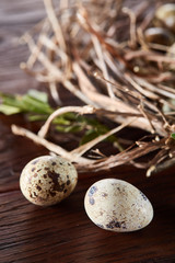 Willow nest with quail eggs on the dark wooden background, top view, close-up, selective focus