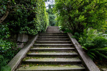 Old shady stone staircase at Isola Bella island