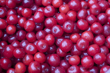 красные вишни