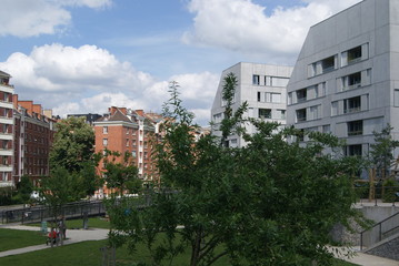 SONY DSC