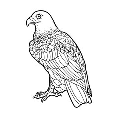 Eagle cartoon illustration isolated on white background for children color book