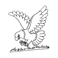 Eagle cartoon illustration isolated on white background for children color book