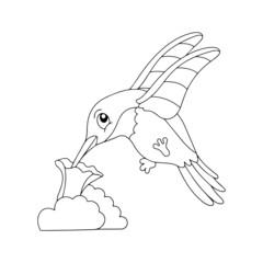 Humming bird cartoon illustration isolated on white background for children color book