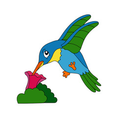Humming bird cartoon illustration isolated on white background for children color book