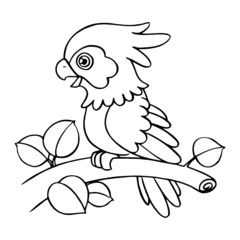 Parrot cartoon illustration isolated on white background for children color book