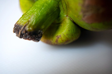 Fruit stem of Mangosteen (Garcinia mangostana) or Purple Mangosteen also known as Queen of Tropical Fruits isolated on white background, closeup and selective focus.