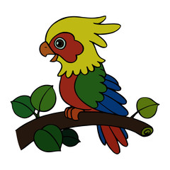 Parrot cartoon illustration isolated on white background for children color book
