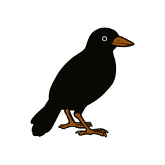 Crow cartoon illustration isolated on white background for children color book