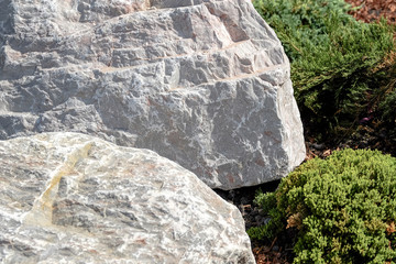 Landscape design. Bushes, rocks. Dwarf spruce. Flowers.