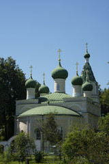 Domes of rural church among trees in midday sun