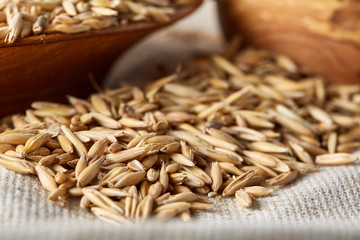 Oat groats or oat spike in wooden plate on homespun tablecloth, copy space, top view, selective focus