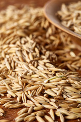 Pile of unpeeled oat grains on wooden background, top view, close-up, macro, shallow depth of field.