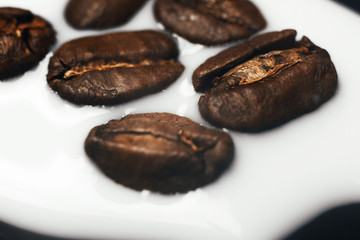 beans coffee on a white background