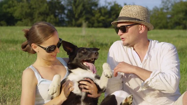 SLOW MOTION, CLOSE UP: Female owner gives the young couple's happy puppy a nice belly rub. Cheerful boyfriend and girlfriend having fun outdoors with a cute border collie dog on a sunny summer day.