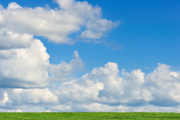 Fototapeta premium Grass and sky background