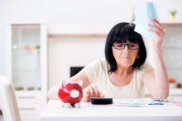 Mature woman trying to reconcile her bills
