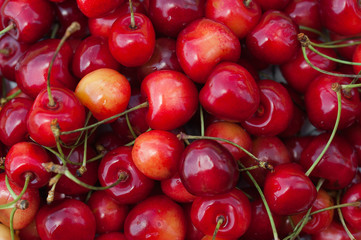 Yellow-red and orange cherries with green branches on a white plate, macro berries.