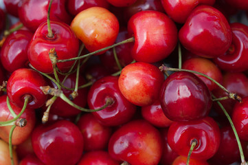 Yellow-red and orange cherries with green branches on a white plate, macro berries.