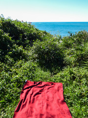 Picnic spot in the Atlantic forest, overlooking the Atlantic ocean - Florianopolis, Brazil