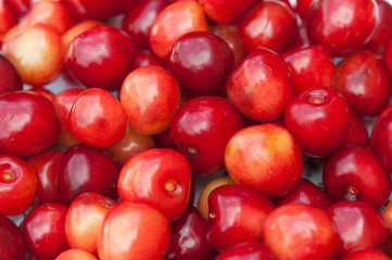 Red-yellow fresh cherry berry, macro