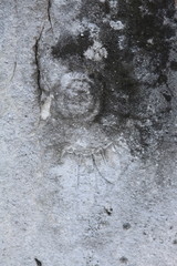 Vintage fragments of stones with patterns