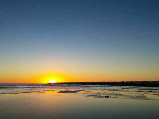 The Original Dog Beach