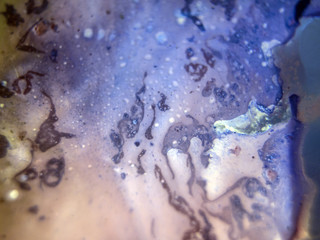the chemical reaction of the paint with water