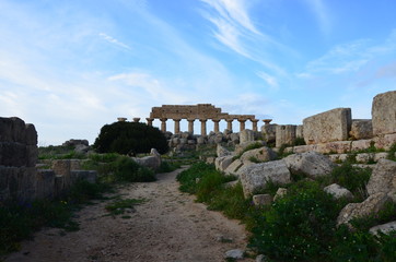 Fototapeta na wymiar Selinunte archaeological site, Sicily