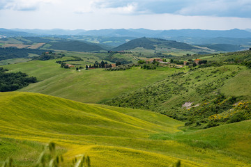 Fototapeta na wymiar Toscana