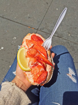 Succulent Lobster roll on a crusty bun on a sunny day in San Francisco