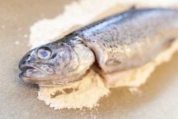 Fresh fish lies on a baking paper in a kitchen