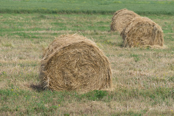 Natural landscape with large haystacks