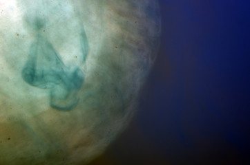 the chemical reaction of the paint with water