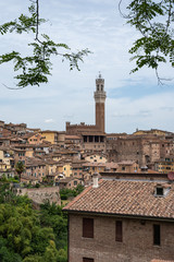 Fototapeta premium Siena