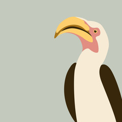 red- billed hornbill  bird vector illustration flat  © wectorcolor