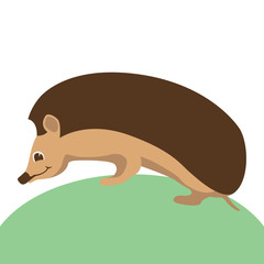 hedgehog face head vector illustration flat style  profile 