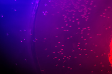 the chemical reaction of the paint with water